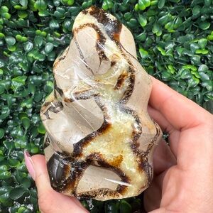Septarian "Dragon Stone" Flame